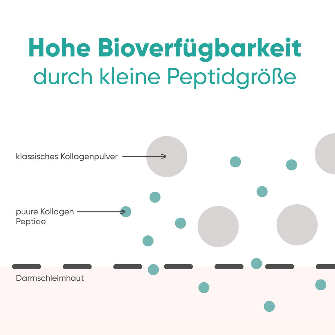 puure® No. 1 Collagen - puure® No. 1 Collagen